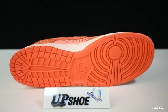 (W) Winter DO6723-800 Low NH Dunk Nike Solstice 0330